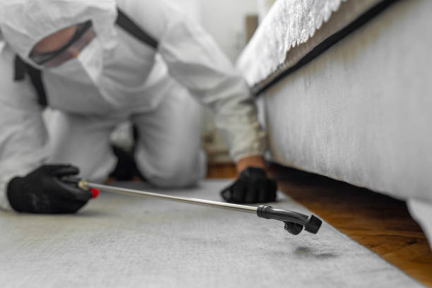 Professional Bed Bug Control technician working in Assumption Parish County, LA
